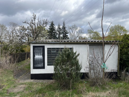 Georg Margulies Portfolio