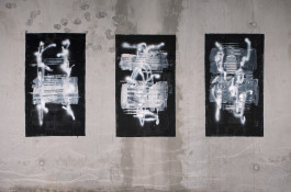 Georg Margulies Portfolio