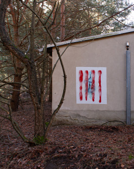 Georg Margulies Portfolio