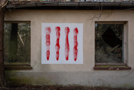 Georg Margulies Portfolio