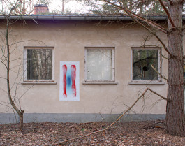 Georg Margulies Portfolio