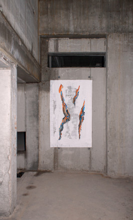 Georg Margulies Portfolio